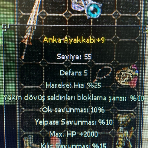  +9 ANKA AYAKKABI 55 SATILIR